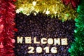 Alphabet welcome 2016 made from bread cookies