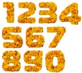 Alphabet from yellow and orange flowers