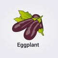 Eggplant Aubergine Vegetable Illustration Icon - Vector Design Elements - Hand drawn