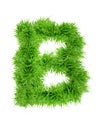 ALPHABETIC GREEN LEAF LETTER, A TO Z , LETTER B, 3D ILLUSTRATION