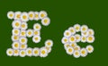 Alphabetical letter made of flowers