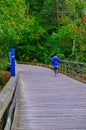 Lone Runner on Wood Trail