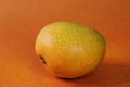 Alphonso mango with due drops Royalty Free Stock Photo