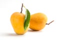 Alphonso Mango Royalty Free Stock Photo