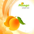 ' Alphonso - Mango ' - The King of Mangoes Royalty Free Stock Photo