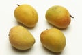 Alphonso mango from Maharashtra India.