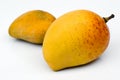 Alphonso Mango (Mangifera indica) Royalty Free Stock Photo