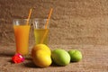 Alphonso mango and raw mango fruit with their juices Royalty Free Stock Photo