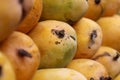 Alphonso mangoes Royalty Free Stock Photo