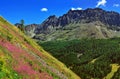 Alpien mountains with violet flowers Royalty Free Stock Photo