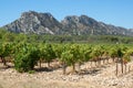 Alpilles mountains, Provence, southern France, Europe,