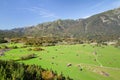 Alpine aerial view of Bavarian valley with green pastureland