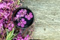 Fireweed healthy herbal tea. glass cup with medicinal Ivan tea