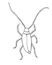 Alpine barbel or lumberjack beetle. Contour clip art of theme of insects, ecology, naturalness of nature