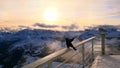 Alpine chough - Lagazuoi Royalty Free Stock Photo