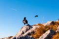 The Alpine chough or yellow-billed chough in Swiss Prealps, Switzerland