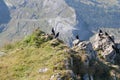 Alpine choughs on a mountain rock in a sunny day, Dolomites, Italian Alps Royalty Free Stock Photo