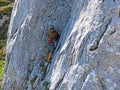 Alpine climbers on the cliffs of the Pilatus mountain range in the Emmental Alps - Canton of Obwalden, Switzerland