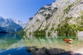 Alpine cow drinking water from Obersee lake, Konigssee, Germany