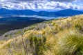 Alpine environment of the Tongariro National Park