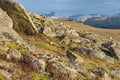 Alpine Fauna Amidst the Boulders on the Ute trail