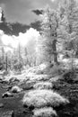 Alpine field in infrared black and white Royalty Free Stock Photo