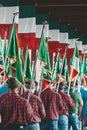 Alpine flags carried by troops during the 2021 Alpine parade at Bassano del Grappa, back view