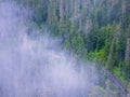 Windy mountain road through a misty forest Royalty Free Stock Photo