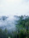 Windy mountain road through a misty forest Royalty Free Stock Photo