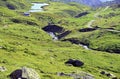 Green slope of alpine forest in the thaw season