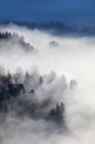 Alpine forest and meadows in sunrise fog Royalty Free Stock Photo