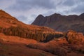 Alpine forest at sunrise with Cumbrian mountains. Taken in the Langdale Valley, Lake District, UK.