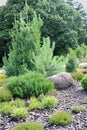 Alpine garden