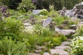 Alpine Garden with flowers Royalty Free Stock Photo