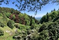 Alpine garden park in the Italian Alps. Valdilana.