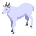 Alpine goat icon, isometric style