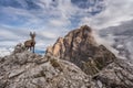 Mountain ibex with Mt. Duranno Dolomiti Friulane in the backgrounds Royalty Free Stock Photo