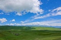 Alpine grassland Royalty Free Stock Photo