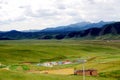 The Alpine Grassland scenery on the Qinghai Tibet Plateau Royalty Free Stock Photo