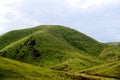 The Alpine Grassland scenery on the Qinghai Tibet Plateau Royalty Free Stock Photo