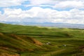 The Alpine Grassland scenery on the Qinghai Tibet Plateau