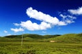 The Alpine Grassland scenery on the Qinghai Tibet Plateau Royalty Free Stock Photo