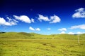 The Alpine Grassland scenery on the Qinghai Tibet Plateau Royalty Free Stock Photo