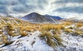 Alpine grassland sprinkled with fresh snow in Mackenzie Country mountain area in the South Island of New Zealand Royalty Free Stock Photo