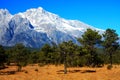 The Alpine Grassland under Jade Dragon Snow Mountain