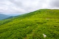 alpine grassy hill of carpathian landscape of ukraine Royalty Free Stock Photo