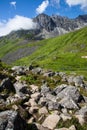 Alpine Greenery Royalty Free Stock Photo