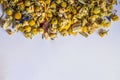 Alpine herbs tea on a white background .Alpine Field. Herbal tea with lemongrass, flowers and chamomile. Top view. Close up. High Royalty Free Stock Photo