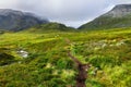 Alpine hiking path through bright green grass Royalty Free Stock Photo