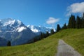 Alpine Hiking Trail